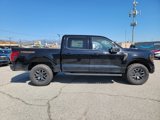 New 2025 Ford F150 Tremor w/ Bed Utility Package image 3
