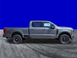 New 2025 Ford F250 Platinum image 3
