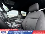 New 2025 Ford F150 XLT w/ Equipment Group 302A MID image 4