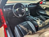 Certified 2019 Ford Mustang GT Premium w/ Equipment Group 401A image 4