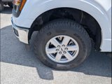 Certified 2024 Ford F150 XL w/ Equipment Group 103A High image 5