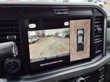 New 2025 Ford F250 Platinum image 4