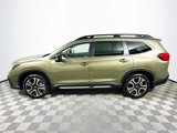 New 2025 Subaru Ascent Limited image 4