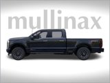 New 2025 Ford F250 Platinum image 4