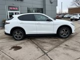 New 2025 Alfa Romeo Stelvio Sprint w/ Convenience Package image 4