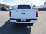 New 2024 Ford F150 XLT w/ Equipment Group 302A MID image 6