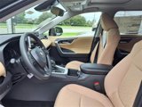 New 2025 Toyota RAV4 XLE w/ Convenience Package image 5