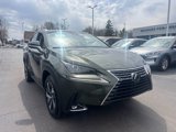 Used 2021 Lexus NX 300 AWD w/ Premium Package image 4