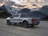 New 2025 Ford F250 Platinum image 4