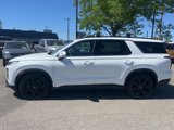 New 2025 Hyundai Palisade XRT image 4