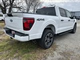 New 2025 Ford F150 STX w/ Equipment Group 200A image 5