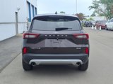 Certified 2023 Ford Escape Active image 5