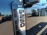 Used 2024 Ford F250 XLT image 2