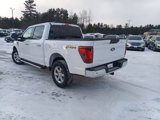 New 2025 Ford F150 XLT w/ Equipment Group 301A Standard image 4