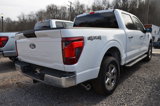 New 2025 Ford F150 XLT w/ Equipment Group 301A Standard image 4