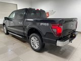 New 2025 Ford F150 XLT w/ Equipment Group 302A MID image 4