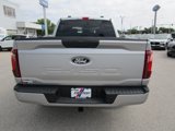 New 2025 Ford F150 STX w/ STX Black Appearance Package image 5