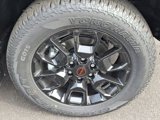 New 2025 Nissan Armada PRO-4X image 5