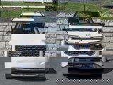 New 2025 Kia Carnival SX image 4
