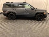New 2024 Hyundai Santa Fe Calligraphy image 4