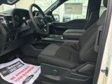 New 2025 Ford F150 STX w/ Equipment Group 200A image 5