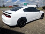 Used 2021 Dodge Charger SXT w/ Blacktop Package image 5