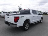 Used 2024 Ford F150 XLT w/ Mobile Office Package image 2