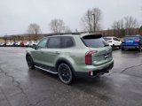 New 2025 Kia Telluride EX X-Line image 5
