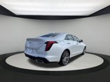 New 2025 Cadillac CT4 Premium Luxury image 5