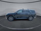 New 2025 Hyundai Palisade Calligraphy image 5