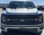 New 2025 Ford F150 XLT w/ Equipment Group 301A Standard image 3