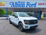 New 2025 Ford F150 XLT w/ Equipment Group 302A MID image 3