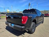 Certified 2023 Ford F150 XLT w/ Equipment Group 302A High image 5