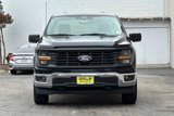 New 2025 Ford F150 XL w/ Equipment Group 103A High image 2