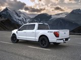 New 2025 Ford F150 Platinum w/ Equipment Group 702A High image 4