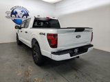 New 2025 Ford F150 STX image 5