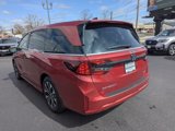New 2025 Honda Odyssey Elite image 5