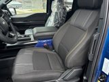New 2025 Ford F150 STX image 4