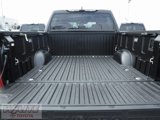 New 2025 Toyota Tundra 1794 Edition image 4