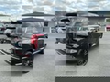 New 2025 Hyundai Palisade Calligraphy image 4