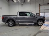 New 2025 Ford F150 XLT w/ Equipment Group 303A High image 4