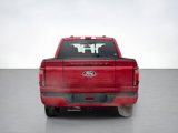 New 2025 Ford F150 Platinum image 4