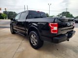 Used 2020 Ford F150 XLT w/ Equipment Group 302A Luxury image 5