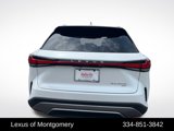 New 2025 Lexus RX 350 image 4