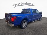 New 2025 Ford F150 XLT w/ Equipment Group 303A High image 5