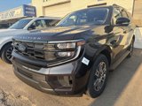 New 2025 Ford Expedition Active image 2