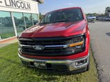 New 2025 Ford F150 XLT image 4