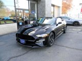 Used 2019 Ford Mustang Premium image 4