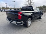Used 2024 Chevrolet Silverado 1500 W/T w/ WT Value Package image 3