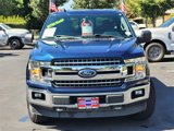Used 2019 Ford F150 XLT w/ Equipment Group 302A Luxury image 3